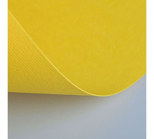 Бумага (картон) для творчества (1 лист) Fabriano Elle Erre А2+ 500х700 мм, 220 г/м2, желтый, 42450707