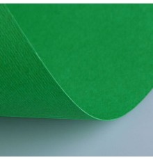 Бумага (картон) для творчества (1 лист) Fabriano Elle Erre А2+ 500х700 мм, 220 г/м2, зеленый, 42450711