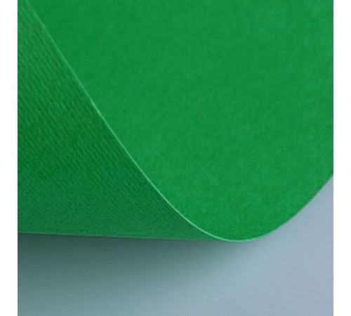 Бумага (картон) для творчества (1 лист) Fabriano Elle Erre А2+ 500х700 мм, 220 г/м2, зеленый, 42450711