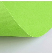 Бумага (картон) для творчества (1 лист) Fabriano Elle Erre А2+ 500х700 мм, 220 г/м2, светло-зеленый, 42450710