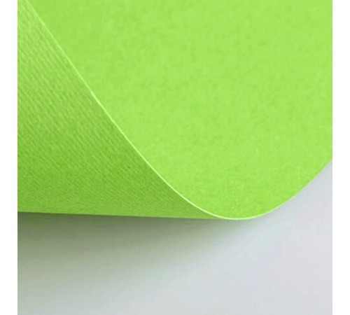 Бумага (картон) для творчества (1 лист) Fabriano Elle Erre А2+ 500х700 мм, 220 г/м2, светло-зеленый, 42450710