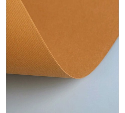 Бумага (картон) для творчества (1 лист) Fabriano Elle Erre А2+ 500х700 мм, 220 г/м2, светло-коричневый, 42450703