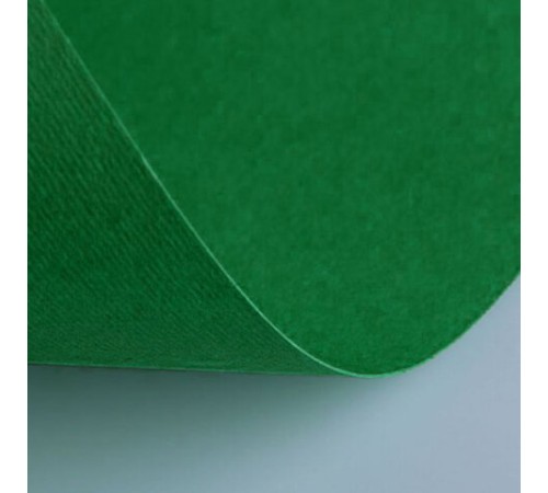 Бумага (картон) для творчества, 1 лист, FABRIANO 