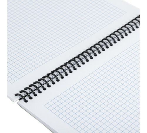 Блокнот БОЛЬШОГО ФОРМАТА А4, 80 л., обложка пластик, клетка, BRAUBERG 