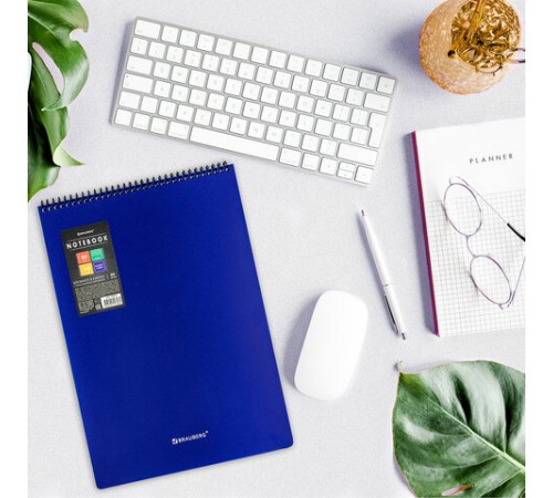 Блокнот БОЛЬШОГО ФОРМАТА А4, 80 л., обложка пластик, клетка, BRAUBERG 