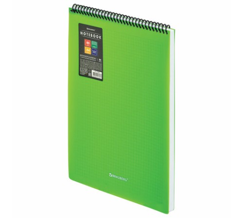 Блокнот БОЛЬШОГО ФОРМАТА А4, 80 л., обложка пластик, клетка, BRAUBERG 