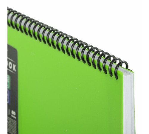 Блокнот БОЛЬШОГО ФОРМАТА А4, 80 л., обложка пластик, клетка, BRAUBERG 