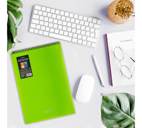 Блокнот БОЛЬШОГО ФОРМАТА А4, 80 л., обложка пластик, клетка, BRAUBERG 