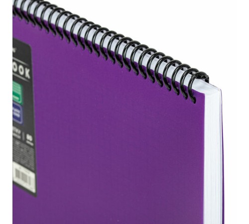 Блокнот БОЛЬШОГО ФОРМАТА А4, 80 л., обложка пластик, клетка, BRAUBERG 