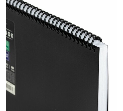 Блокнот БОЛЬШОГО ФОРМАТА А4, 80 л., обложка пластик, клетка, BRAUBERG 