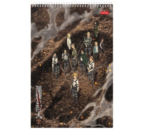 Альбом для рисования А4, 30 листов, спираль, обложка картон, HATBER, 205х300 мм, 