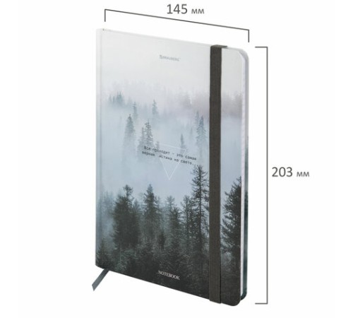 Блокнот с резинкой в клетку 96 л., А5 145х203 мм, твердая обложка, BRAUBERG, 