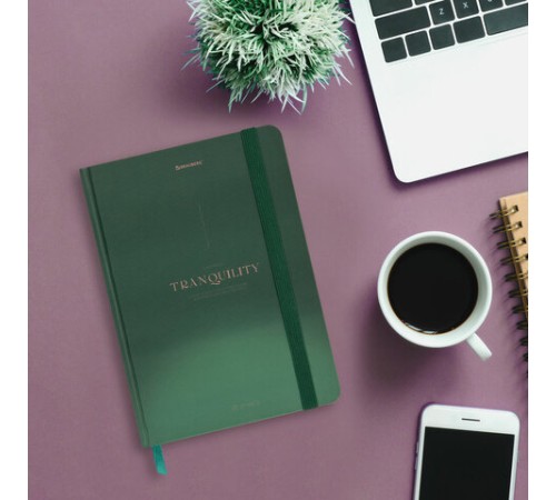 Блокнот с резинкой в клетку 96 л., А5 145х203 мм, твердая обложка, BRAUBERG, 