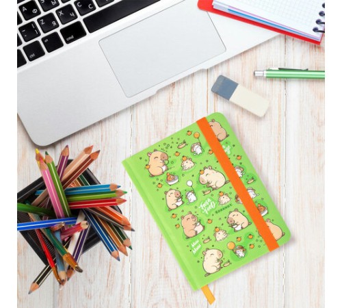 Блокнот с резинкой в клетку 96 л., МАЛЫЙ ФОРМАТ А6, 109х148 мм, твердая обложка, ЮНЛАНДИЯ, 