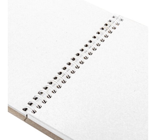 Скетчбук, белая бумага, 160 г/м2, плотная, 19х19 см, 60 л., гребень, твердая обложка, КРАФТ, BRAUBERG ART CLASSIC, 116366