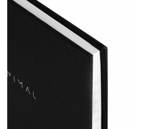 Блокнот МАЛЫЙ ФОРМАТ 110х147 мм, А6, 80 л., твердый, клетка, BRAUBERG 