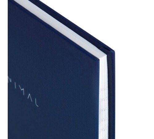 Блокнот МАЛЫЙ ФОРМАТ 110х147 мм, А6, 80 л., твердый, клетка, BRAUBERG 