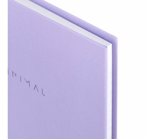 Блокнот МАЛЫЙ ФОРМАТ 110х147 мм, А6, 80 л., твердый, клетка, BRAUBERG 