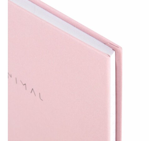 Блокнот МАЛЫЙ ФОРМАТ 110х147 мм, А6, 80 л., твердый, клетка, BRAUBERG 