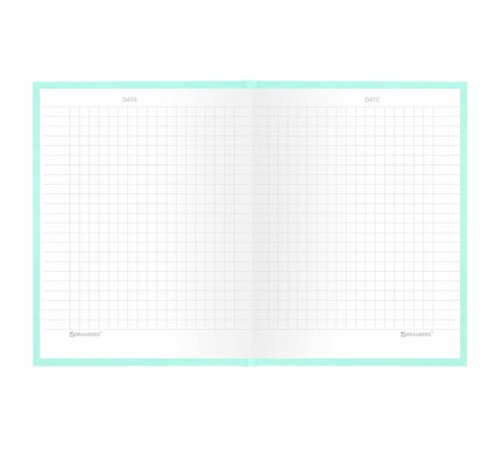 Блокнот МАЛЫЙ ФОРМАТ 110х147 мм, А6, 80 л., твердый, клетка, BRAUBERG 