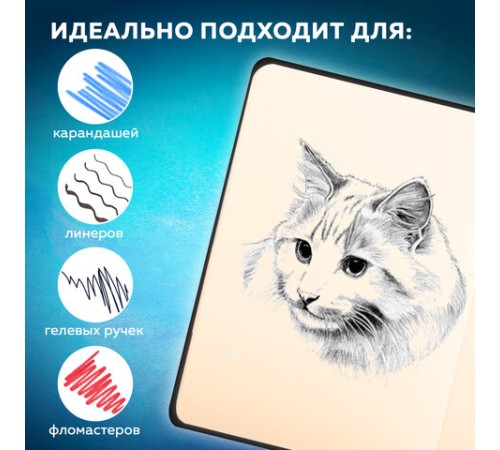 Скетчбук, слоновая кость 140 г/м2 90х140 мм, 80 л., КОЖЗАМ, застежка, BRAUBERG ART CLASSIC, черный,116458