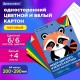 Набор картона БЕЛЫЙ + ЦВЕТНОЙ А4 немелованный, 10 листов (белый 4 листа + цветной 6 листов), в папке, BRAUBERG, 116631