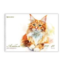 Альбом для акварели А4 40 л., бумага 200 г/м2, гребень, твердая подложка, BRAUBERG, 