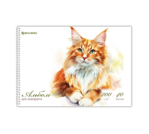 Альбом для акварели А4 40 л., бумага 200 г/м2, гребень, твердая подложка, BRAUBERG, 