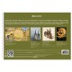 Альбом для акварели А4 40 л., бумага 200 г/м2, гребень, твердая подложка, BRAUBERG, 