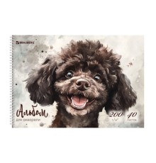 Альбом для акварели А4 40 л., бумага 200 г/м2, гребень, твердая подложка, BRAUBERG, 