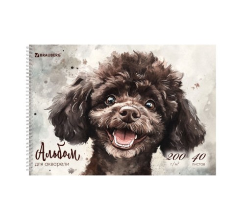 Альбом для акварели А4 40 л., бумага 200 г/м2, гребень, твердая подложка, BRAUBERG, 