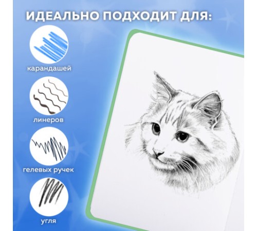 Скетчбук, белая бумага 80 г/м2, 145х203 мм, 80 л., резинка, твердый, FUNSTER (ФАНСТЕР), Гусь 