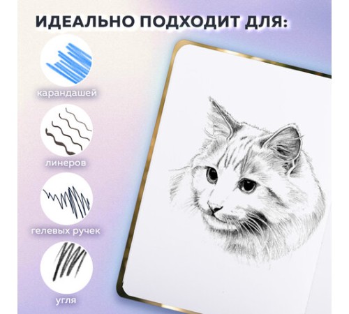 Скетчбук, белая бумага 80 г/м2, 145х203 мм, 80 л., резинка, твердый, BRAUBERG ART, 