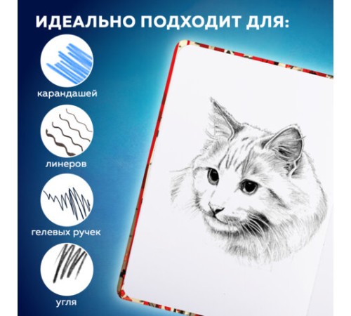 Скетчбук, белая бумага 80 г/м2, 145х203 мм, 80 л., резинка, твердый, BRAUBERG ART, 