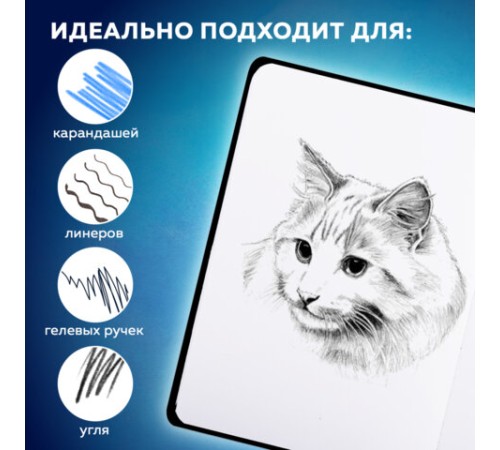 Скетчбук, белая бумага 120 г/м2, 145х203 мм, 80 л., резинка, твердый, BRAUBERG ART, 