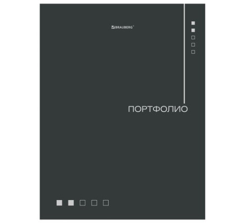 Папка-портфолио универсальная, 4 кольца, 20 файлов, 7БЦ матовая, BRAUBERG 