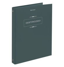Папка-портфолио универсальная, 4 кольца, 20 файлов, 7БЦ матовая, BRAUBERG 