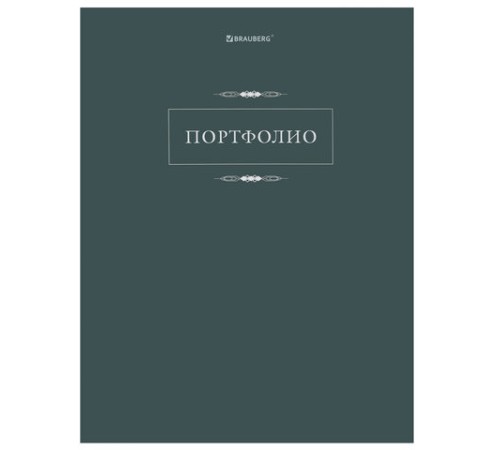 Папка-портфолио универсальная, 4 кольца, 20 файлов, 7БЦ матовая, BRAUBERG 