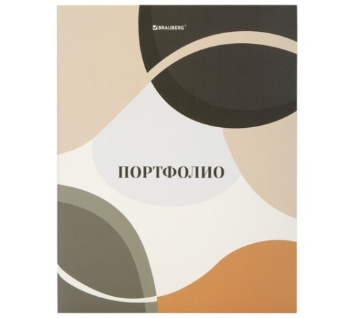 Папка-портфолио универсальная, 4 кольца, 20 файлов, 7БЦ матовая, BRAUBERG 