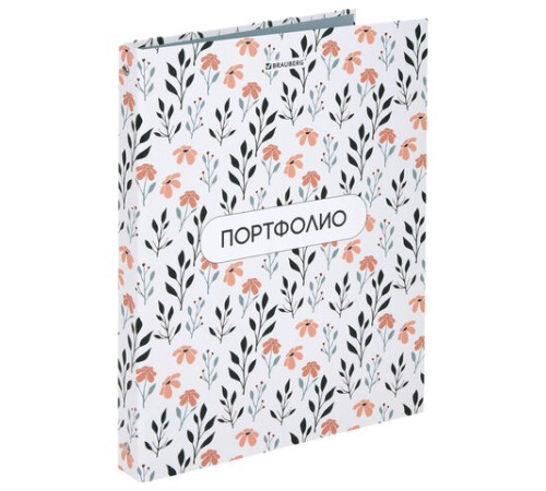 Папка-портфолио универсальная, 4 кольца, 20 файлов, 7БЦ матовая, BRAUBERG 