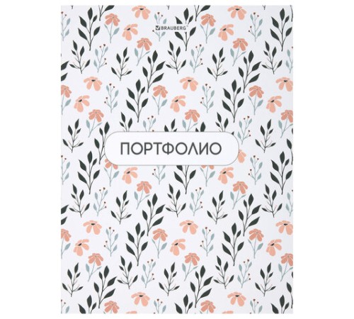 Папка-портфолио универсальная, 4 кольца, 20 файлов, 7БЦ матовая, BRAUBERG 