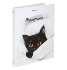 Папка-портфолио универсальная, 4 кольца, 20 файлов, 7БЦ матовая, BRAUBERG 
