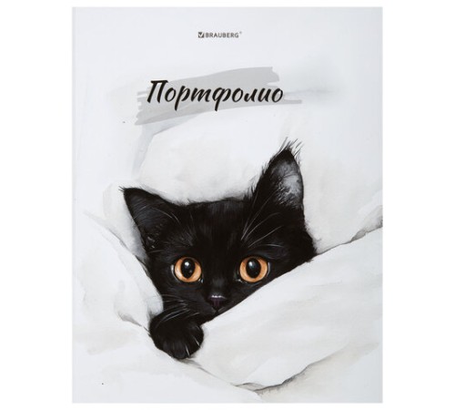 Папка-портфолио универсальная, 4 кольца, 20 файлов, 7БЦ матовая, BRAUBERG 