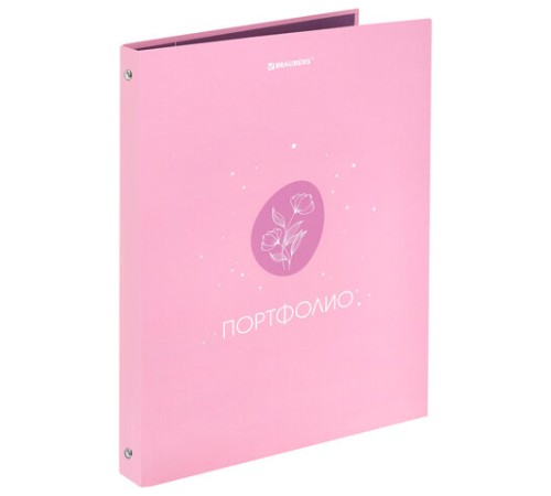 Папка-портфолио универсальная, 4 кольца, 20 файлов, 7БЦ матовая, BRAUBERG, 