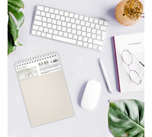 Блокнот А5, 80 л., силиконовый гребень, обложка пластик, клетка, BRAUBERG, бежевый, 117559