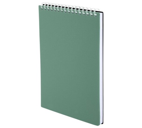 Блокнот А5, 80 л., силиконовый гребень, обложка пластик, клетка, BRAUBERG, зеленый, 117560