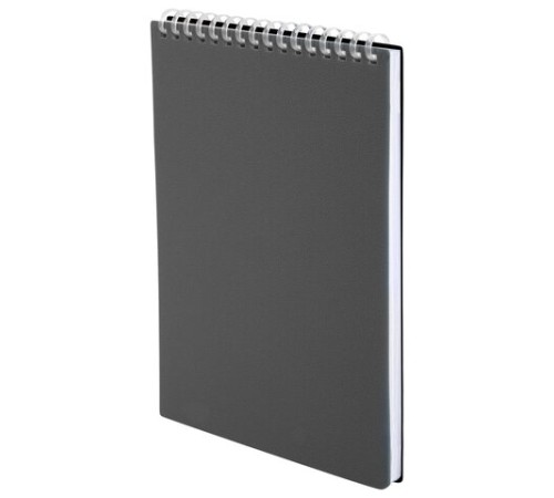 Блокнот А5, 80 л., силиконовый гребень, обложка пластик, клетка, BRAUBERG, серый, 117562