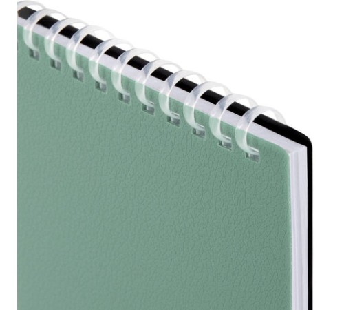 Блокнот МАЛЫЙ ФОРМАТ А6, 60 л., силиконовый гребень, обложка пластик, клетка, BRAUBERG, зеленый, 117564