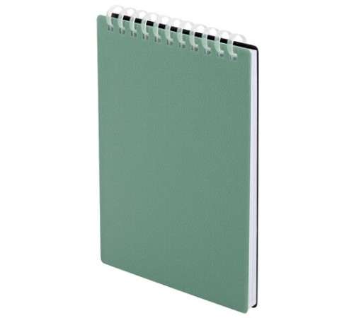 Блокнот МАЛЫЙ ФОРМАТ А6, 60 л., силиконовый гребень, обложка пластик, клетка, BRAUBERG, зеленый, 117564