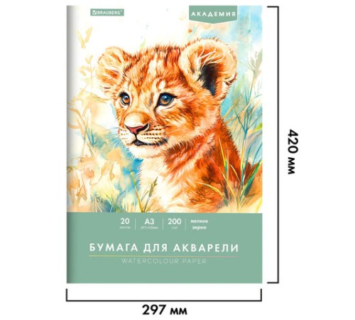 Папка для акварели БОЛЬШАЯ А3, 20 л., 200 г/м2, 297х420 мм, BRAUBERG АКАДЕМИЯ, 